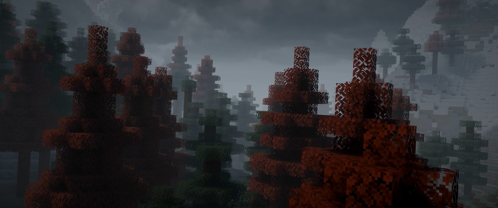 Forest Banner